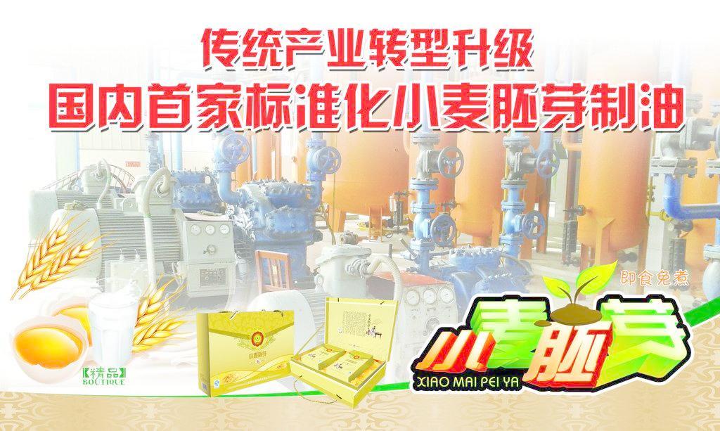 小麥胚芽 從科研圖像到產(chǎn)業(yè)服務——探索會議與展覽在現(xiàn)代農(nóng)業(yè)中的價值